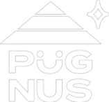 PUGNUS（パグナス）